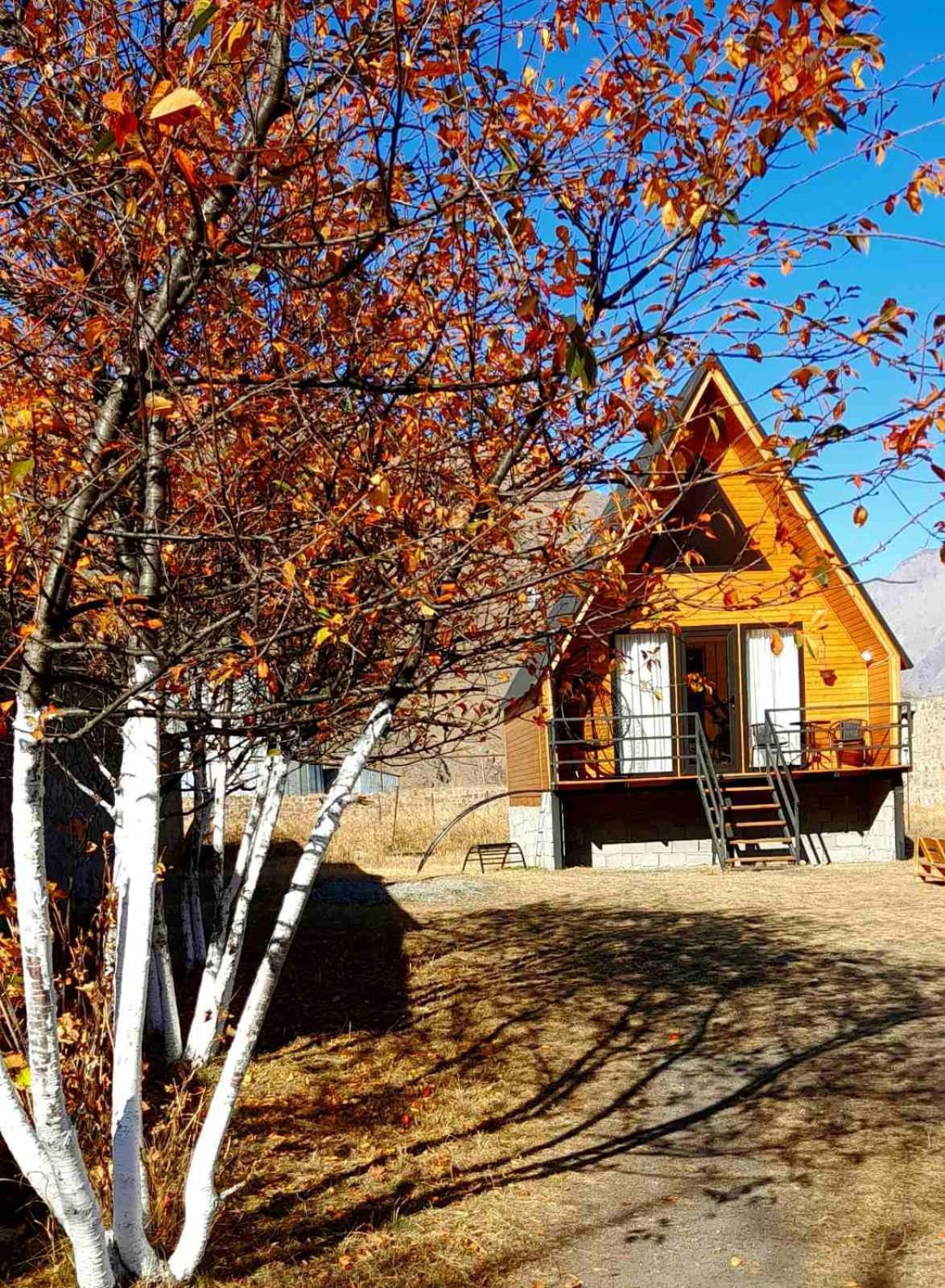 Appartement Thomas' Hut à Kazbegi Extérieur photo