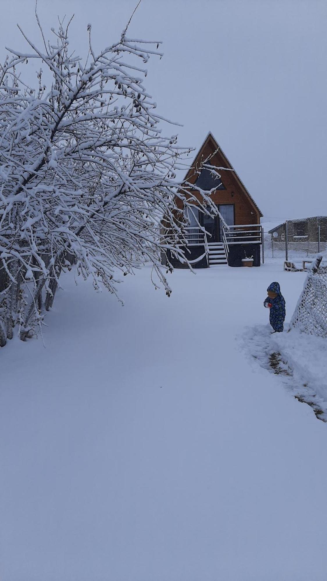 Appartement Thomas' Hut à Kazbegi Extérieur photo