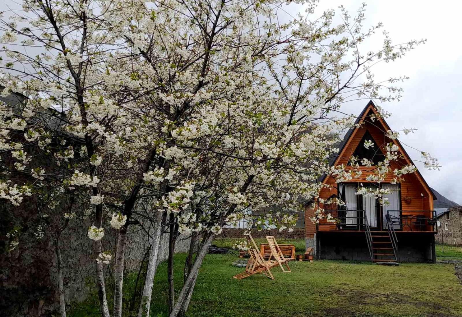 Appartement Thomas' Hut à Kazbegi Extérieur photo